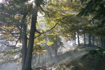 Herbstwanderung